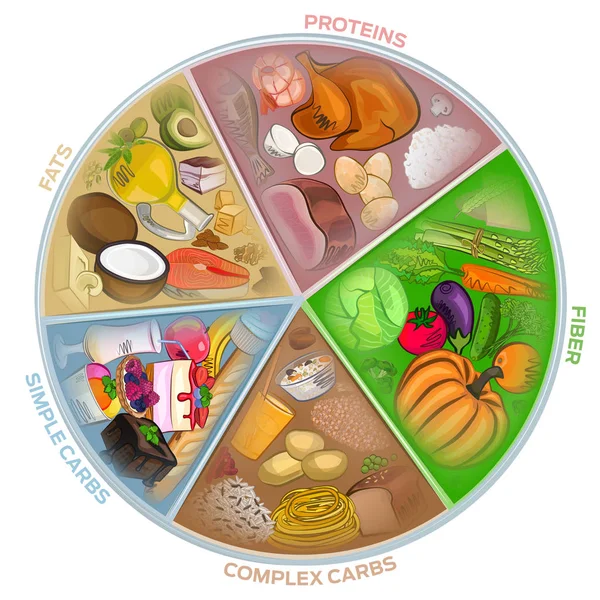 Il cerchio della nutrizione, acquerello alimentare, illustrazione vettoriale — Vettoriale Stock