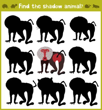 Okul öncesi çağındaki çocuklar için çizgi film çocuklar için eğitim oyunları. Babun Savannah için doğru gölge bulmak. Vektör