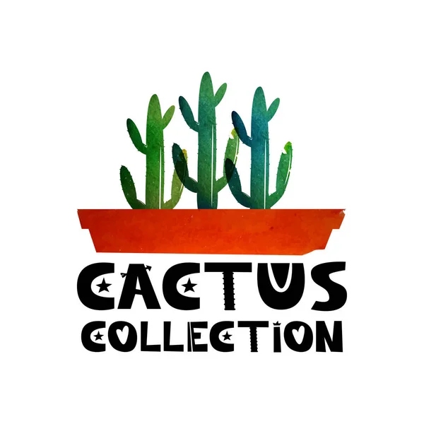 Aranyos betűkkel szöveg kaktuszok gyűjteménye. Logo-reklám a kaktuszok szakosodott üzletek. Cactus egy pot. Akvarell háttér. Vektor — Stock Vector