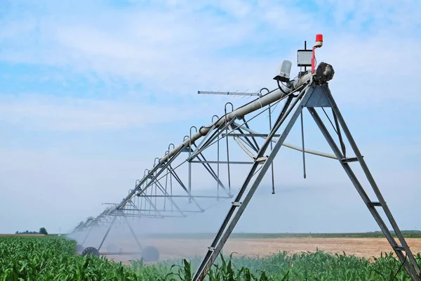 Impianto di irrigazione a sprinkler in campo agricolo — Foto Stock
