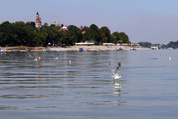 Zemun, Srbsko, pohled z řeky Dunaje — Stock fotografie