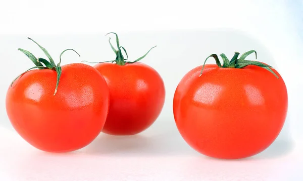 Pomodori freschi isolati su fondo bianco — Foto Stock