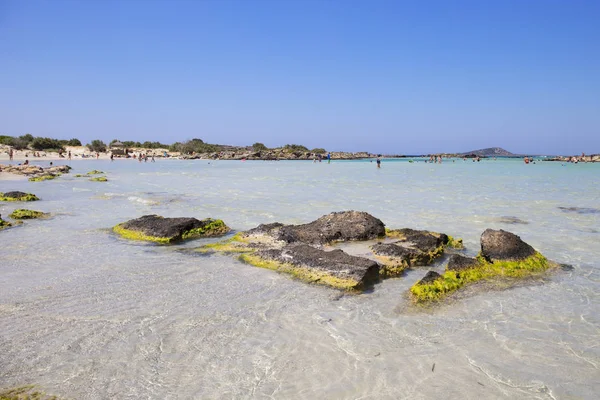 Agua Turquesa Playa Elafonisi Isla Creta Grecia — Foto de Stock