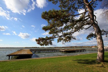 Ahşap iskelede eski göl Palic, Subotica, Sırbistan