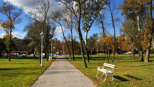 Parktaki Beyaz Bank — Stok fotoğraf