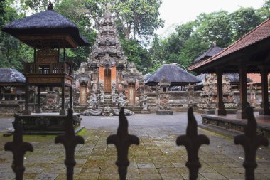 Bali Bali Ubud kutsal maymun orman tapınakta