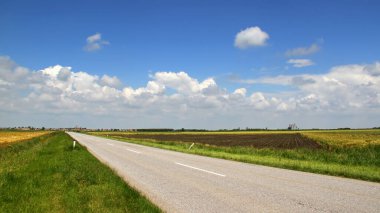 Vadideki asfalt yolda tarım tarlaları var. 