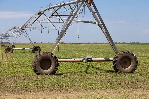 Système Irrigation Par Gicleurs Sur Terrain Agricole — Photo