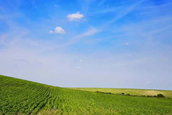 Tierras Agrícolas Con Cielo Azul Claro — Foto de Stock