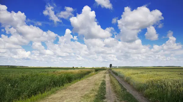 Landsväg Med Molnig Blå Himmel — Stockfoto