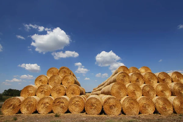 Stack Hay Bales Harvest — Stock Photo, Image