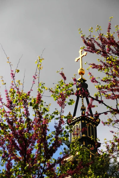 Campanario Iglesia San Nicolás Zemun Serbia — Foto de Stock