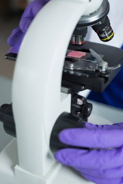 Mikroskopla çalışan araştırmacı 