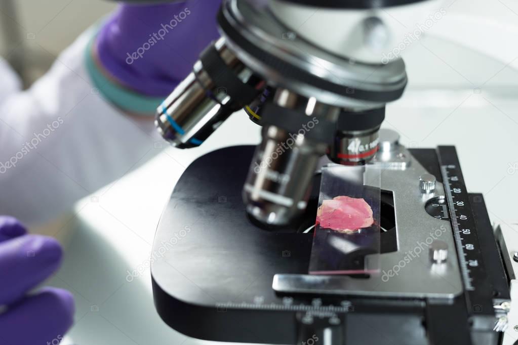 Researcher working with microscope 