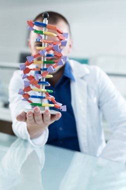 bilim adamı DNA modelleri ile çalışma