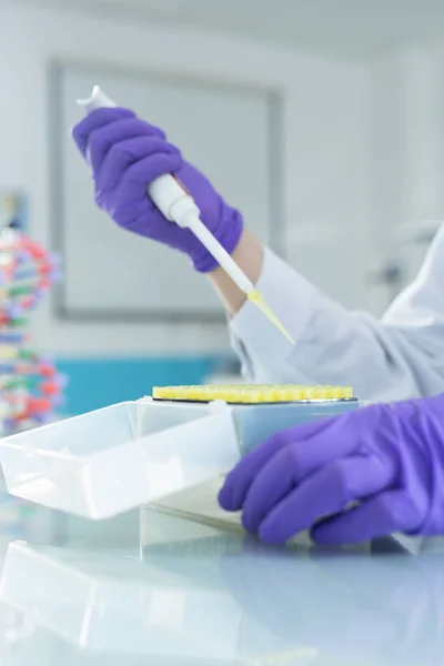 Scientist working in laboratory — Stock Photo, Image