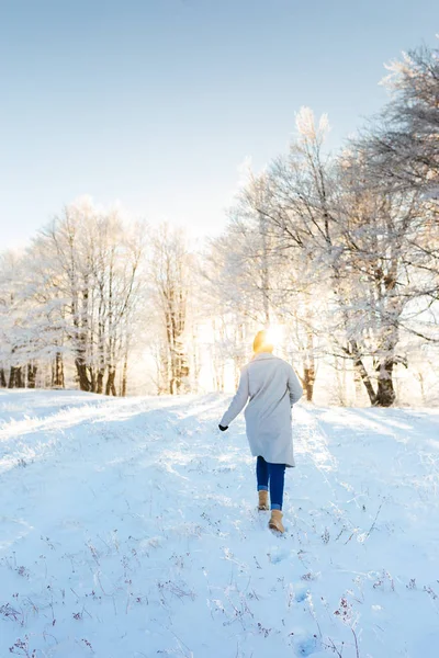 Bella donna a piedi in montagne innevate — Foto Stock