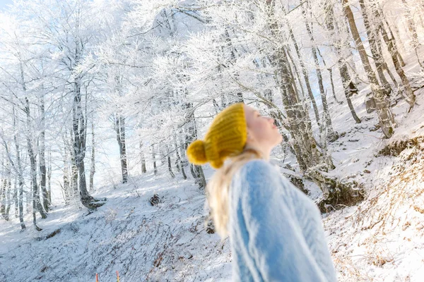 Télen a gyönyörű fiatal nő — Stock Fotó