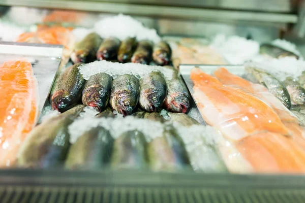 Vielfalt Frischen Fischen Auf Dem Lokalen Fischmarkt — Stockfoto