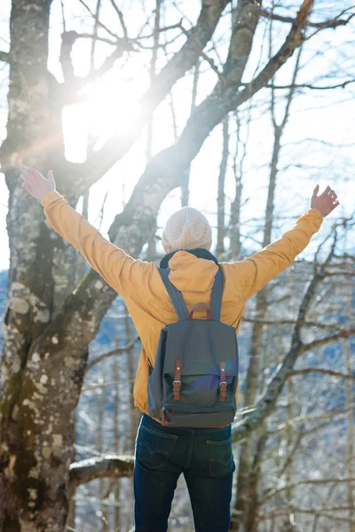 Hiker man in forest — Stock Photo, Image