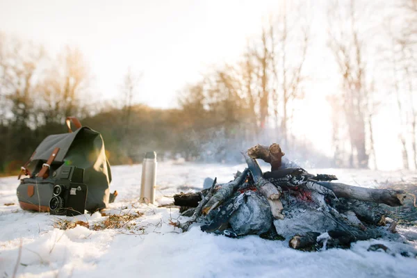 Bonfire on winter day in wood — Stock Photo, Image