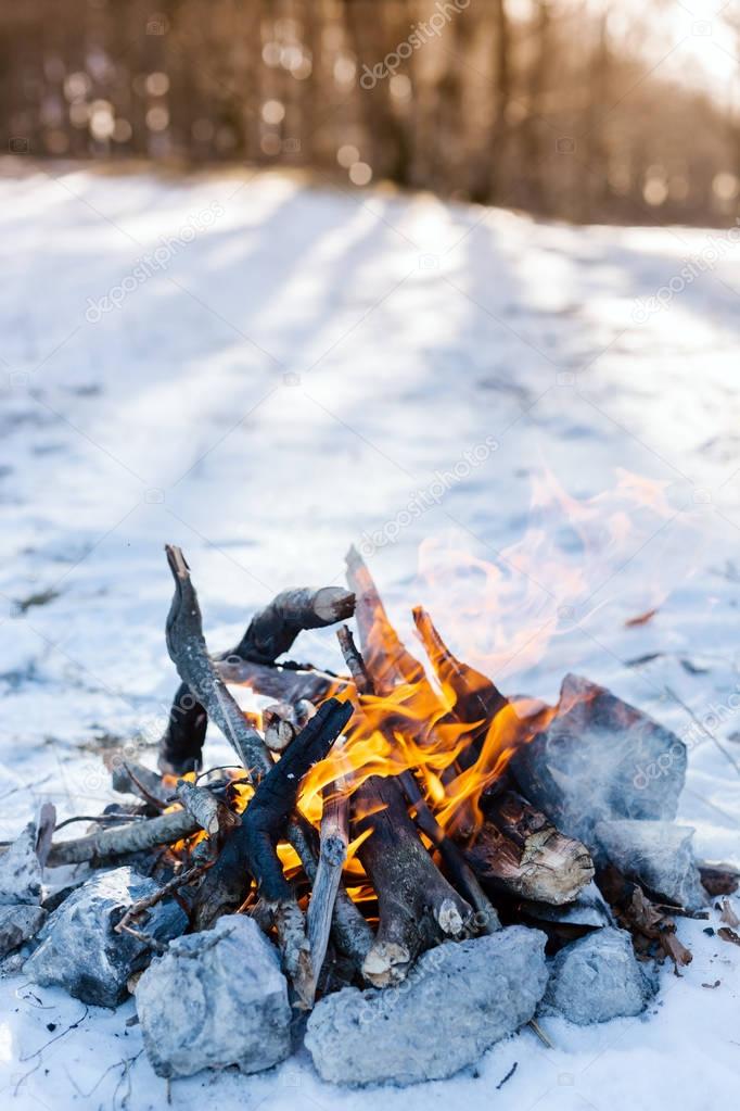 Bonfire on winter day in wood