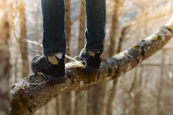 Bir ağaç dalı üzerinde duran erkek bacak yakın çekim. 