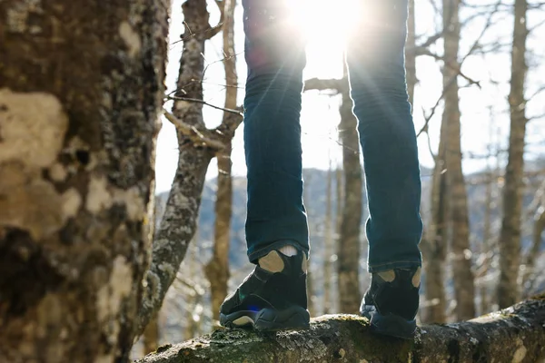 Young man in forest — Stock Photo, Image