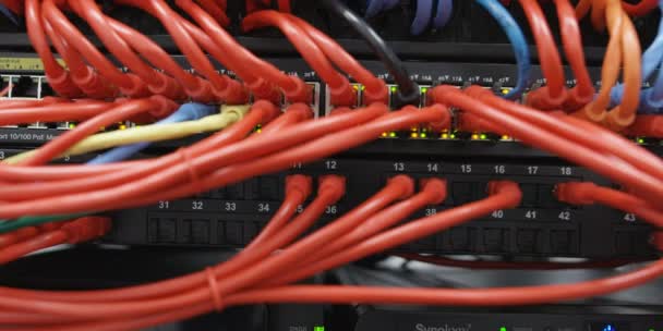 Primer Plano Los Cables Rojos Azules Fondo Sala Servidores — Vídeos de Stock