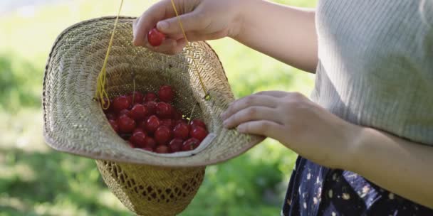 Nahaufnahme Von Frauenhänden Die Rote Beeren Sommerhut Halten — Stockvideo