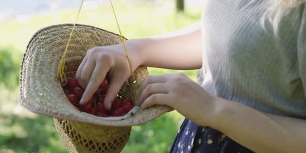 Close Woman Hands Holding Red Berries Summer Hat — Stock Video