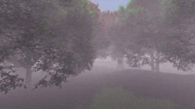 boşaltmak ile üst orman yerden olacak kamera