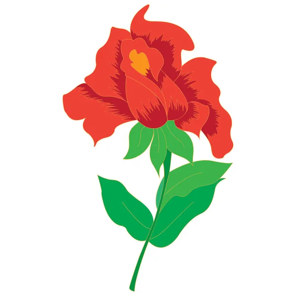 Διανυσματική εικόνα ένα όμορφο κόκκινο τριαντάφυλλο — Διανυσματικό Αρχείο