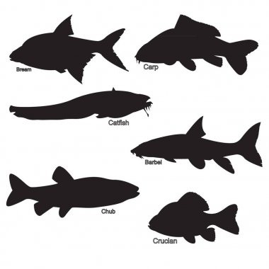 Tatlı su balık siluetleri vektör görüntüleri