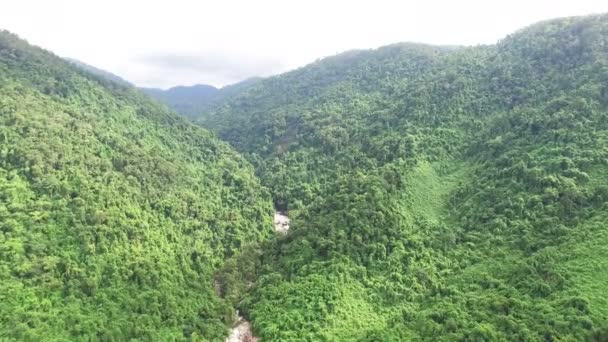 Река Воздушный обзор в джунглях Вьетнама — стоковое видео
