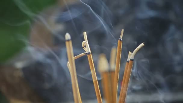 Bâtonnets d'encens dans le temple au Vietnam — Video