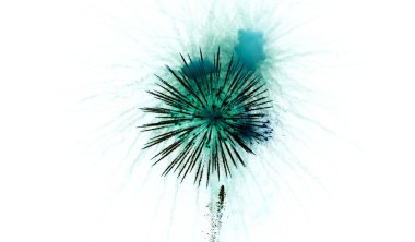 Bir dağ restoranda düğününde havai fişek.