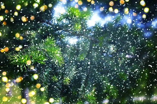 Árbol de Navidad. Año Nuevo — Foto de Stock