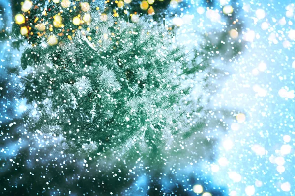 Χριστουγεννιάτικο δέντρο φως. Το νέο έτος — Φωτογραφία Αρχείου
