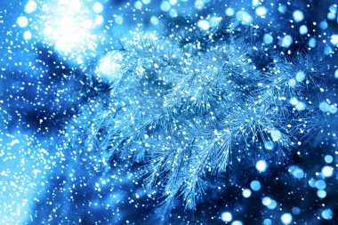 Noel ağacı. Yeni yıl