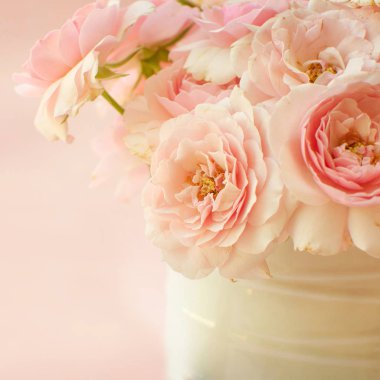 Gül arka plan. Güzel güller