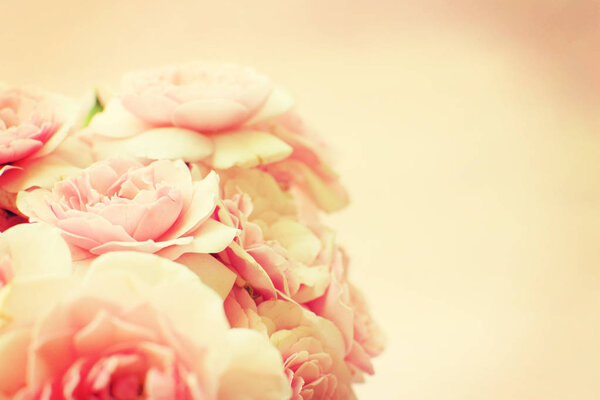 Beautiful roses background.happy time