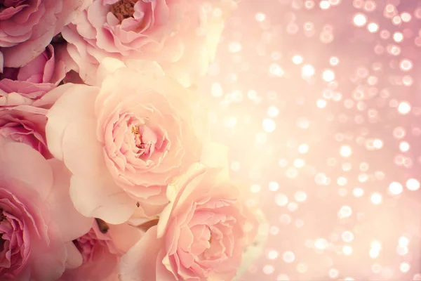 Beautiful pink roses background — Stock Photo, Image