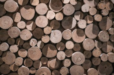 Tahta doğal kesim kütükleri desenli arkaplan, üst görünüm, düz yatış