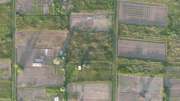 Vegetable gardens divided into rectangular figures, shooting from above — Stock Footage Vegetable gardens divided into rectangular figures, shooting from above Stock Video