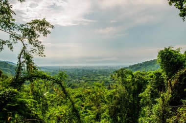 Doğal görünümünden Khao Yai en yüksek Milli Parkı: Saraburi, Thailand.