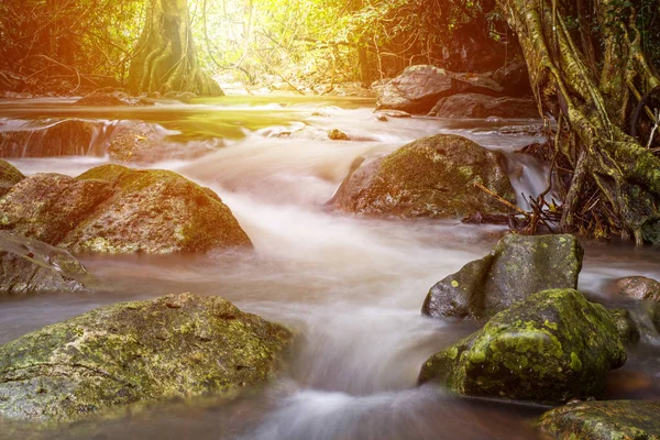 Tayland şelale Saraburi (Jedkod şelale) adlı Kao Yai Milli Parkı içinde. ormandaki güzel şelale.
