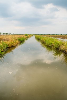 Kanal toprak alan tarım için