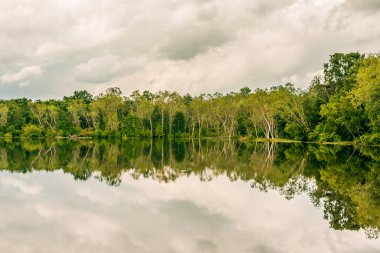 Manzara orman ve rezervuar sayısı Tayland at.