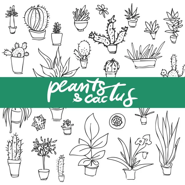 Conjunto de diferentes plantas, cactus. ilustración dibujada a mano . — Vector de stock